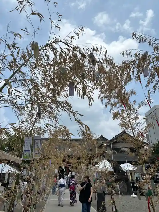 浅草神社のお祭り