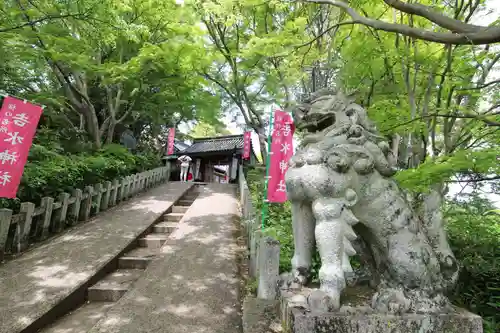 𠮷水神社（吉水神社）の狛犬