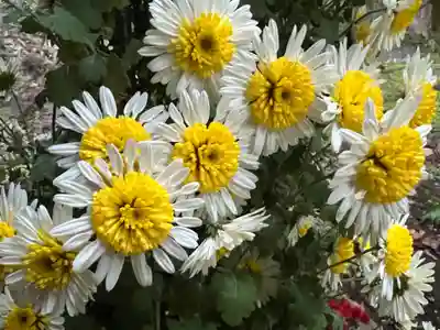 大宮温泉神社(栃木県)