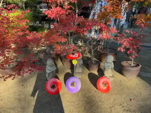 岡寺（龍蓋寺）(奈良県)