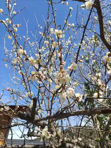 金熊寺(大阪府)