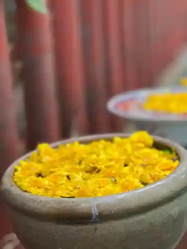 川越八幡宮(埼玉県)