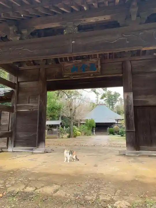 円天寺(千葉県)