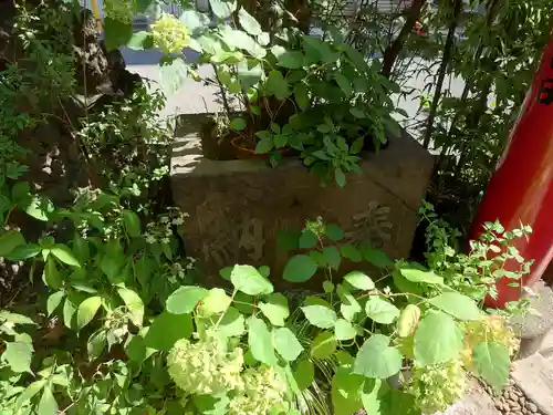 五十稲荷神社(栄寿稲荷神社)の手水舎