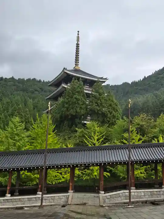 清大寺(越前大仏)(福井県)
