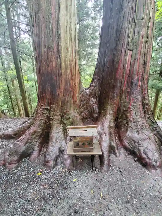 三峯神社の自然