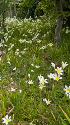 正覚寺(京都府)