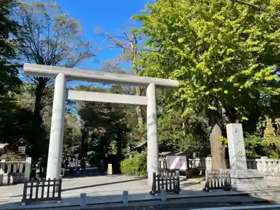 阿佐ヶ谷神明宮の鳥居