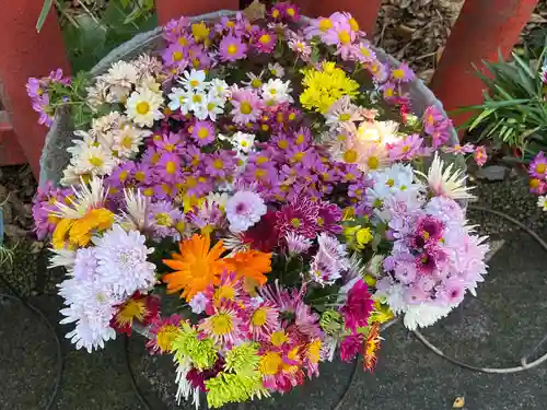 川越八幡宮(埼玉県)