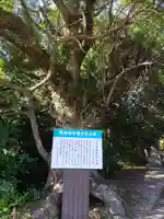 平群天神社(千葉県)