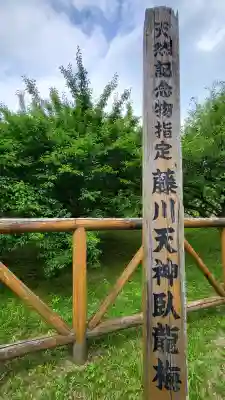 菅原神社の{uncategorized: "未分類", other: "その他", undefined: "問題あり", building: "その他建物", grave: "お墓", sacred_gate: "鳥居", guardian: "狛犬", statue: "像", buddha: "仏像", history: "歴史", nature: "自然", garden: "庭園", animal: "動物", pagoda: "塔", temizu: "手水舎", mountain_gate: "山門・神門", sanctuary: "本殿・本堂", subordinate: "末社・摂社", art: "芸術", scenery: "景色", jizo: "地蔵", ema: "絵馬", goshuin: "御朱印", omikuji: "おみくじ", items: "授与品その他", amulet: "お守り", goshuincho: "御朱印帳", eats: "食事", festival: "お祭り", votive_dance: "神楽", shichigosan: "七五三参", wedding: "結婚式", experience: "体験その他", initially: "初詣", around: "周辺", anti_infection: "感染症対策"}