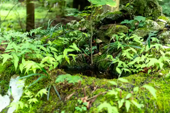 塩野神社(長野県)