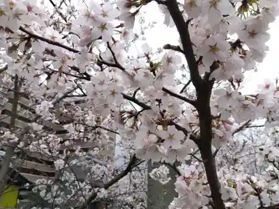 日吉神社(福井県)