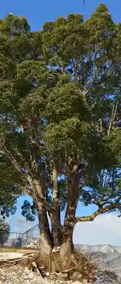 サムハラ神社 奥の宮(岡山県)
