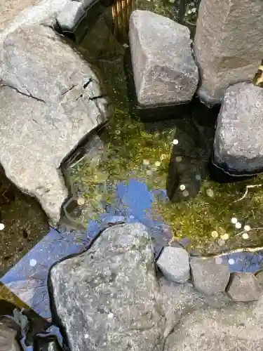 行田八幡神社の{uncategorized: "未分類", other: "その他", undefined: "問題あり", building: "その他建物", grave: "お墓", sacred_gate: "鳥居", guardian: "狛犬", statue: "像", buddha: "仏像", history: "歴史", nature: "自然", garden: "庭園", animal: "動物", pagoda: "塔", temizu: "手水舎", mountain_gate: "山門・神門", sanctuary: "本殿・本堂", subordinate: "末社・摂社", art: "芸術", scenery: "景色", jizo: "地蔵", ema: "絵馬", goshuin: "御朱印", omikuji: "おみくじ", items: "授与品その他", amulet: "お守り", goshuincho: "御朱印帳", eats: "食事", festival: "お祭り", votive_dance: "神楽", shichigosan: "七五三参", wedding: "結婚式", experience: "体験その他", initially: "初詣", around: "周辺", anti_infection: "感染症対策"}