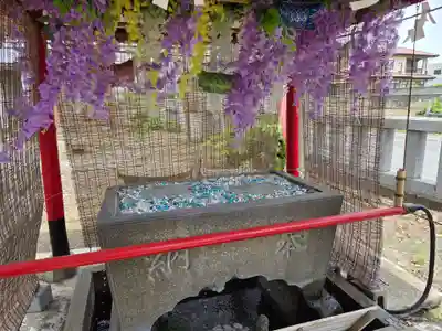 島田八坂神社(栃木県)