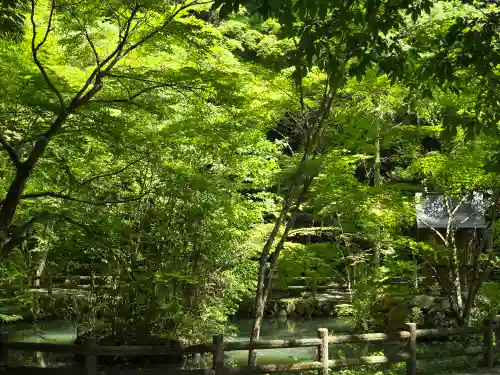 一乗寺(兵庫県)