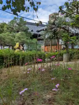 報恩寺(京都府)