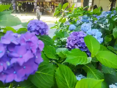 大宝八幡宮(茨城県)