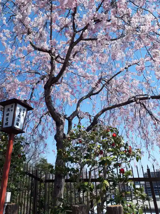 愛宕神社の自然