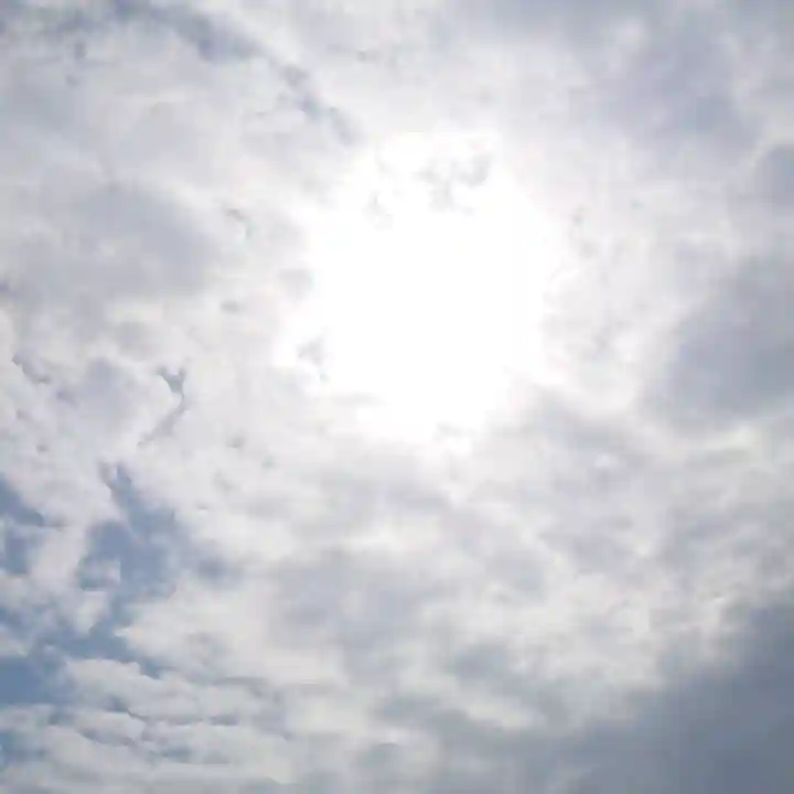 伊久波神社(下三宅)の景色