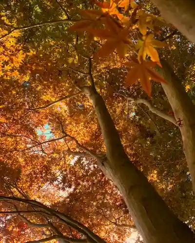 滑川神社 - 仕事と子どもの守り神の自然