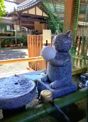 荻窪白山神社(東京都)