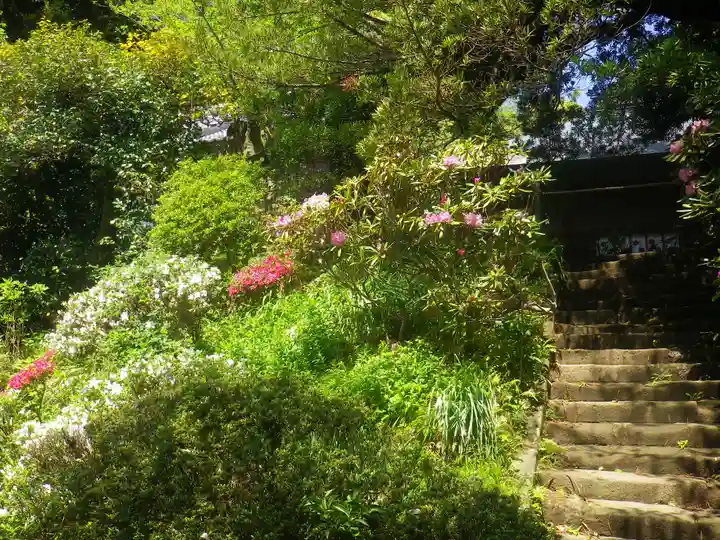 浄光明寺の庭園