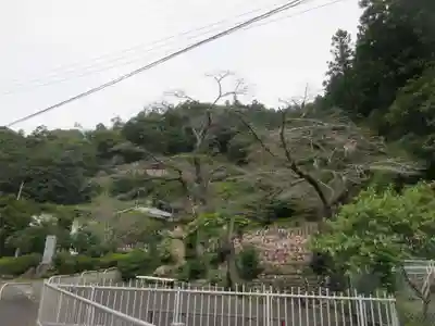 地蔵寺(埼玉県)