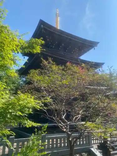 村松虚空蔵堂（日高寺）(茨城県)