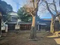 大戸氷川神社(埼玉県)