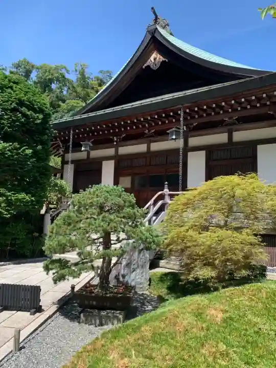 報国寺(神奈川県)