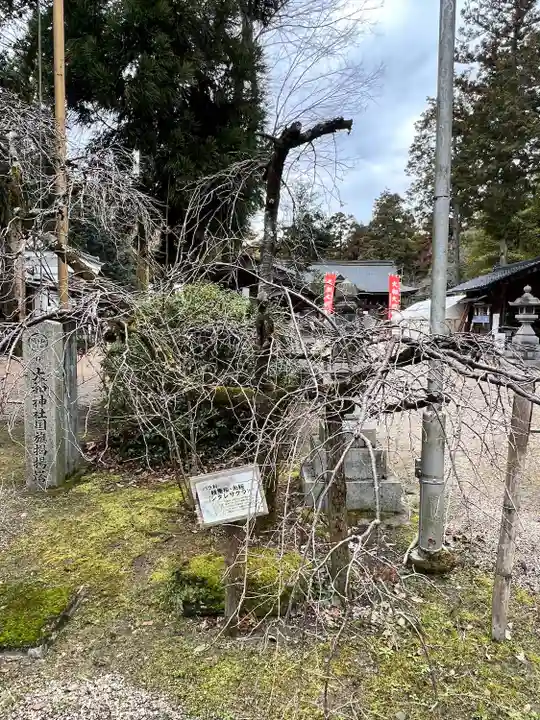 大和神社(奈良県)
