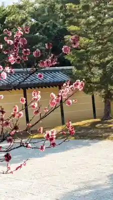 大覚寺(京都府)