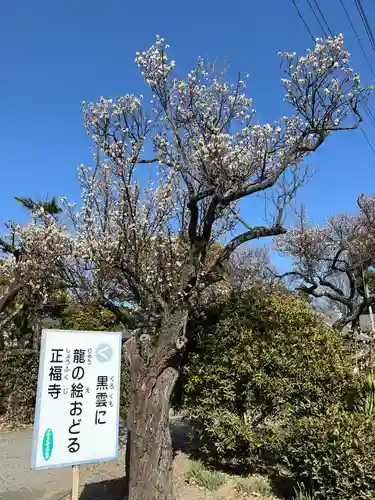 正福寺(埼玉県)