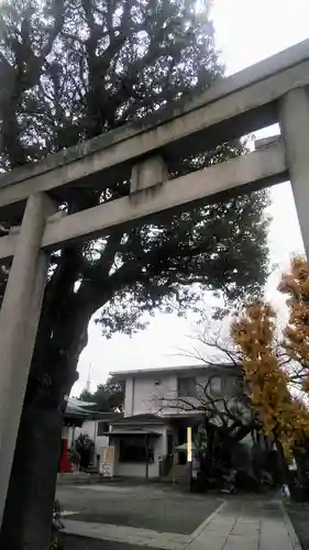 麻布氷川神社の鳥居