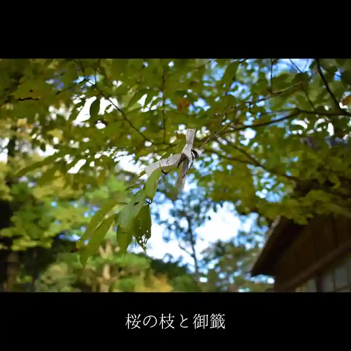 山﨑八幡宮のおみくじ