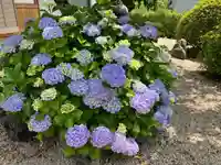 美奈宜神社(福岡県)