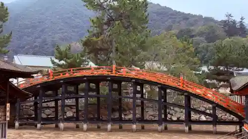 厳島神社の{uncategorized: "未分類", other: "その他", undefined: "問題あり", building: "その他建物", grave: "お墓", sacred_gate: "鳥居", guardian: "狛犬", statue: "像", buddha: "仏像", history: "歴史", nature: "自然", garden: "庭園", animal: "動物", pagoda: "塔", temizu: "手水舎", mountain_gate: "山門・神門", sanctuary: "本殿・本堂", subordinate: "末社・摂社", art: "芸術", scenery: "景色", jizo: "地蔵", ema: "絵馬", goshuin: "御朱印", omikuji: "おみくじ", items: "授与品その他", amulet: "お守り", goshuincho: "御朱印帳", eats: "食事", festival: "お祭り", votive_dance: "神楽", shichigosan: "七五三参", wedding: "結婚式", experience: "体験その他", initially: "初詣", around: "周辺", anti_infection: "感染症対策"}
