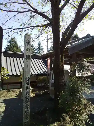 金乗院放光寺の自然