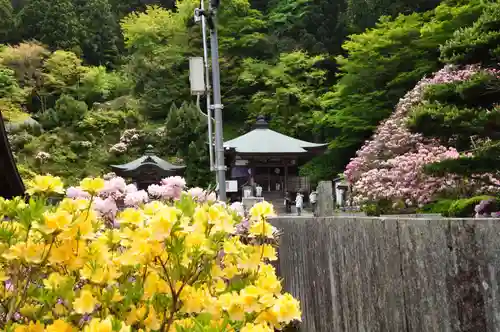 横峰寺(愛媛県)