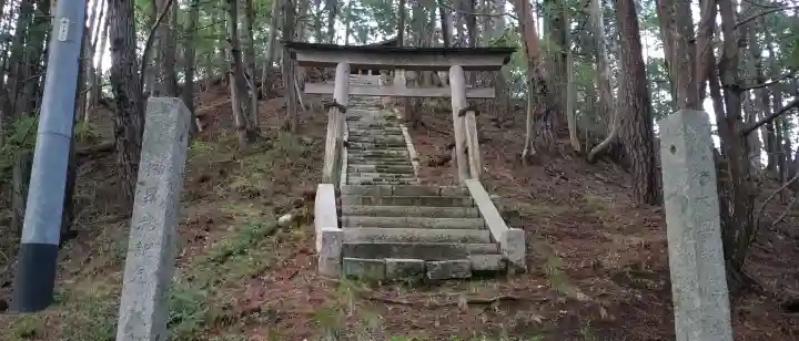 秋葉神社の{uncategorized: "未分類", other: "その他", undefined: "問題あり", building: "その他建物", grave: "お墓", sacred_gate: "鳥居", guardian: "狛犬", statue: "像", buddha: "仏像", history: "歴史", nature: "自然", garden: "庭園", animal: "動物", pagoda: "塔", temizu: "手水舎", mountain_gate: "山門・神門", sanctuary: "本殿・本堂", subordinate: "末社・摂社", art: "芸術", scenery: "景色", jizo: "地蔵", ema: "絵馬", goshuin: "御朱印", omikuji: "おみくじ", items: "授与品その他", amulet: "お守り", goshuincho: "御朱印帳", eats: "食事", festival: "お祭り", votive_dance: "神楽", shichigosan: "七五三参", wedding: "結婚式", experience: "体験その他", initially: "初詣", around: "周辺", anti_infection: "感染症対策"}