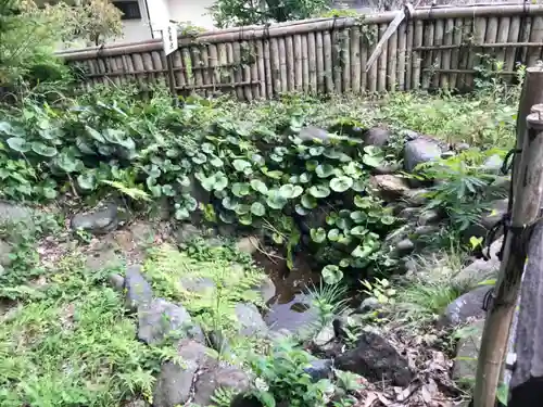 小町神社の庭園