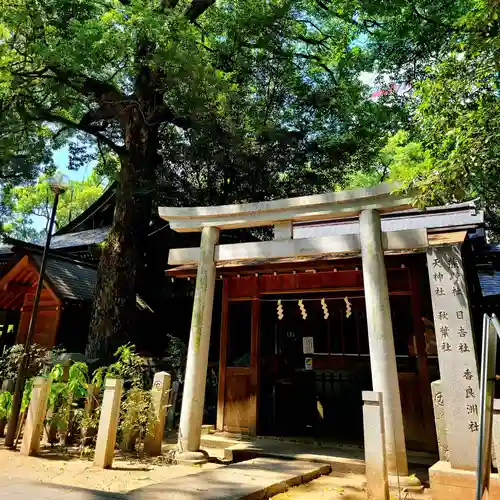 若宮八幡社(愛知県)