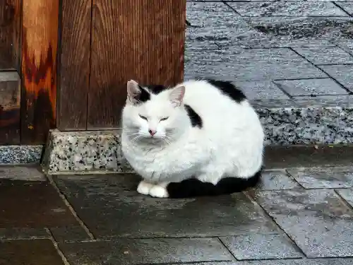 豊國神社の動物