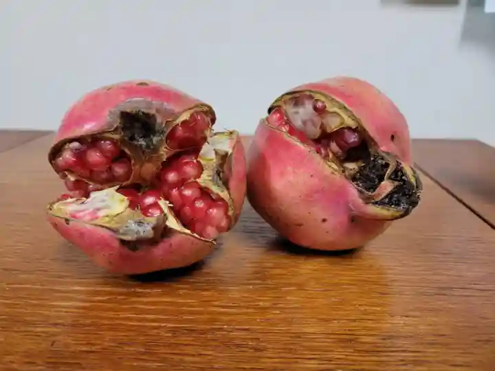 妙見寺(群馬県)