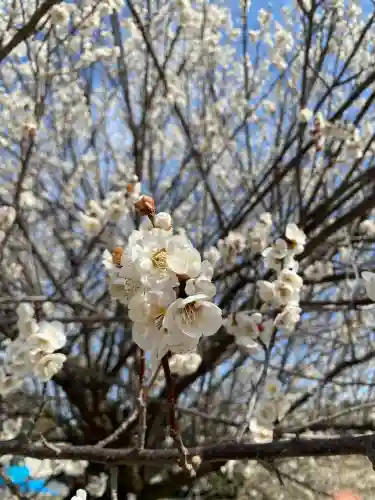 寺岡山元三大師(栃木県)