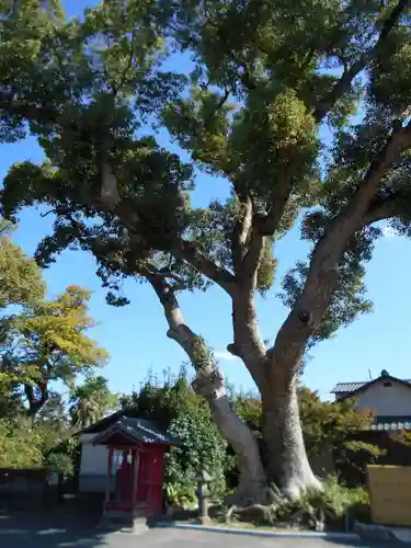 水田天満宮(福岡県)