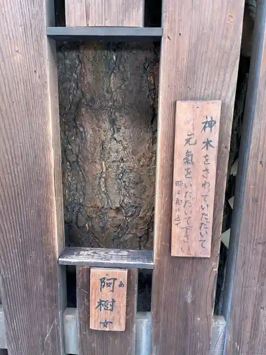 平等寺(因幡堂)(京都府)
