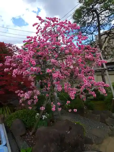 最勝寺の庭園